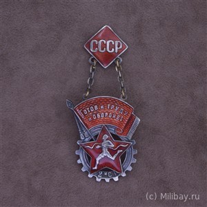Знак Готов к труду и обороне 2-й ступени
