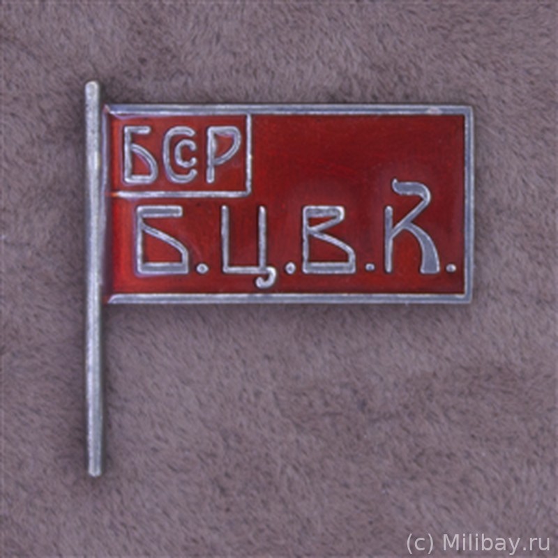 Знак члена ЦИК Белорусской ССР