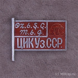 Знак члена ЦИК Узбекской ССР